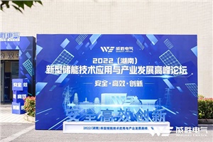 “2022（湖南）新型儲能技術應用與產(chǎn)業(yè)發(fā)展高峰論壇”圓滿召開