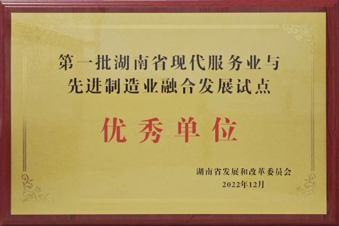 湖南省第一批優(yōu)秀試點(diǎn)單位！威勝能源兩業(yè)融合工作再獲殊榮！